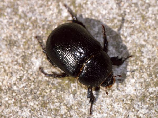 medium.4cffad64e2bd5