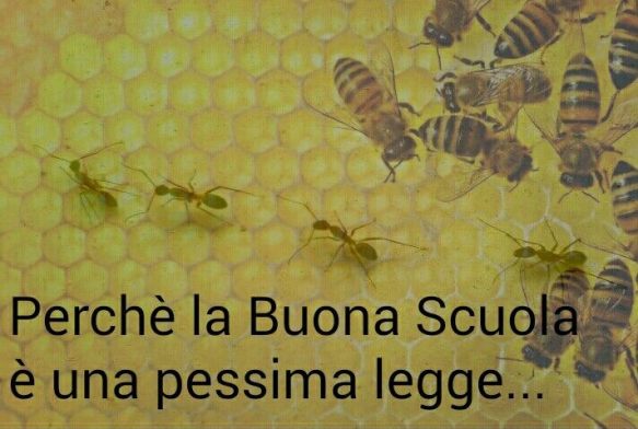 12625880_10207050513553677_1433956965_n