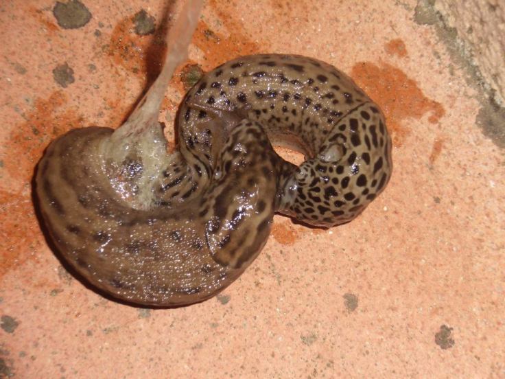 292327_3379118724675_2055997630_n