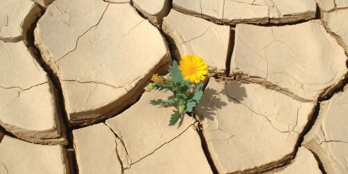 Coltivare-la-speranza